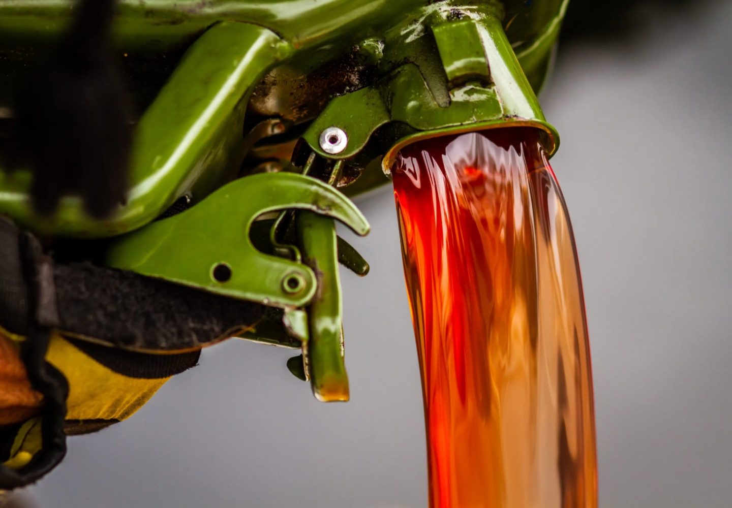 WhatsApp Image 2025-11-10 at 3.55.47 PM